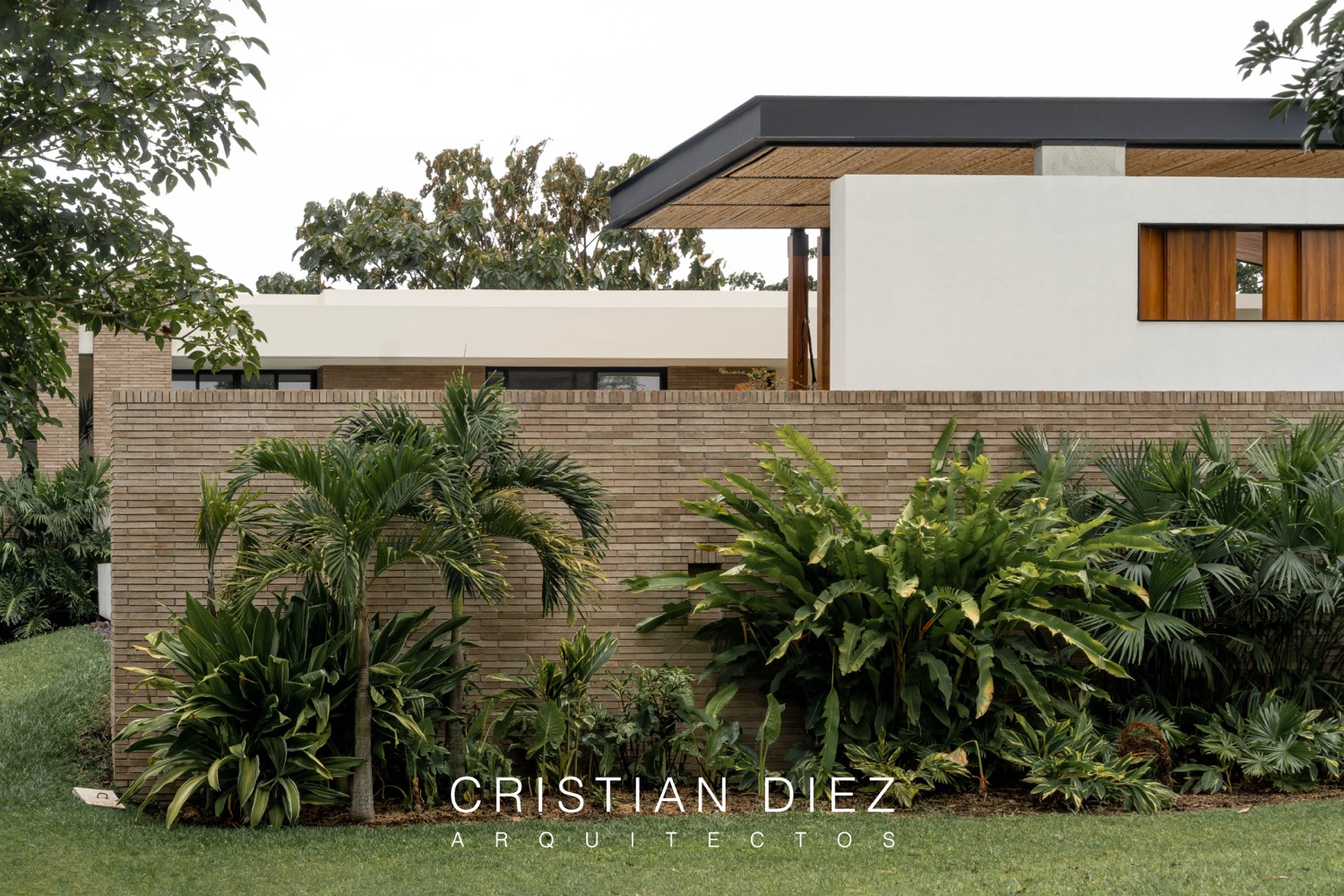 Dirección visual — Cristian Diez