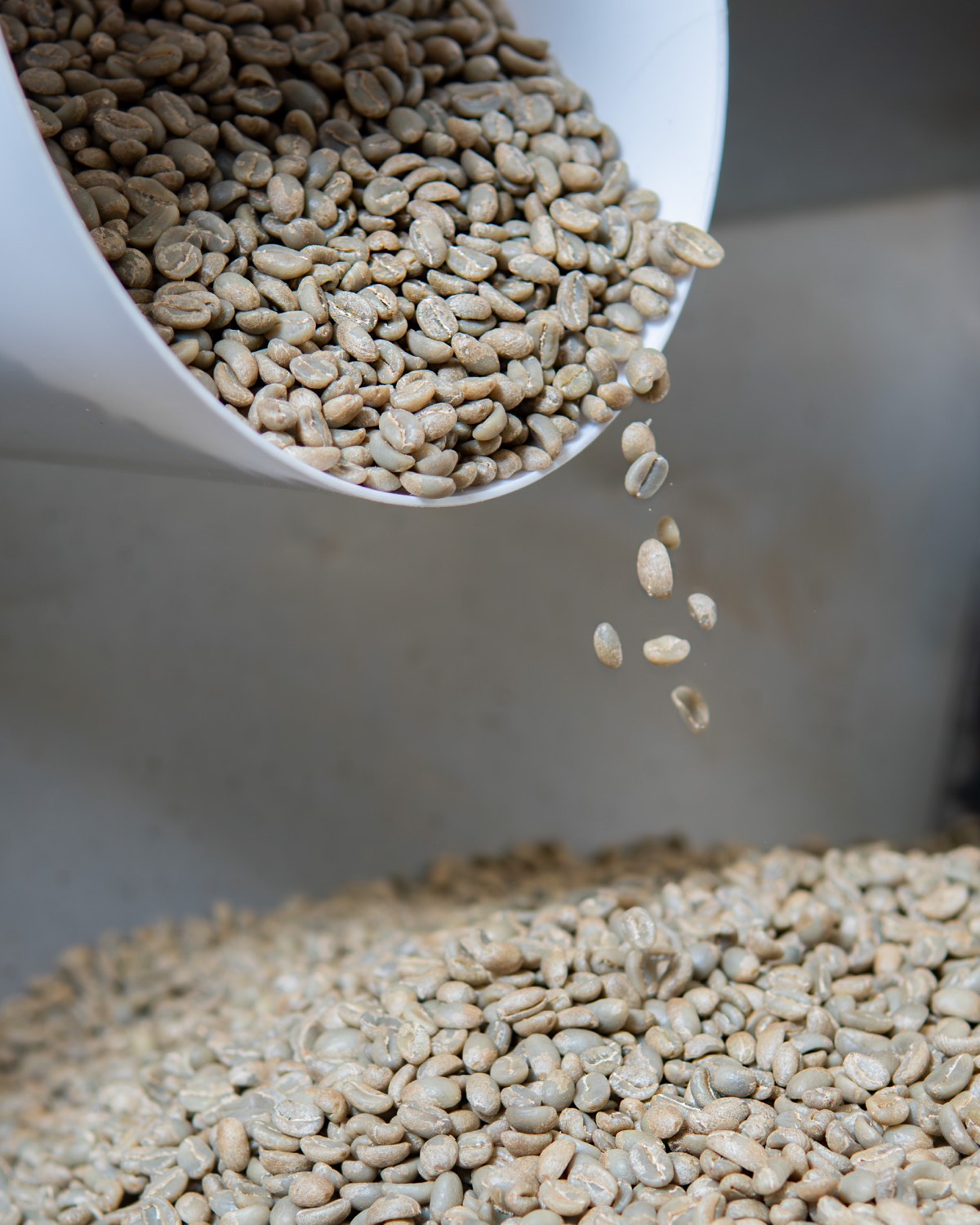 Dirección visual de café — Specialty Coffee Barn