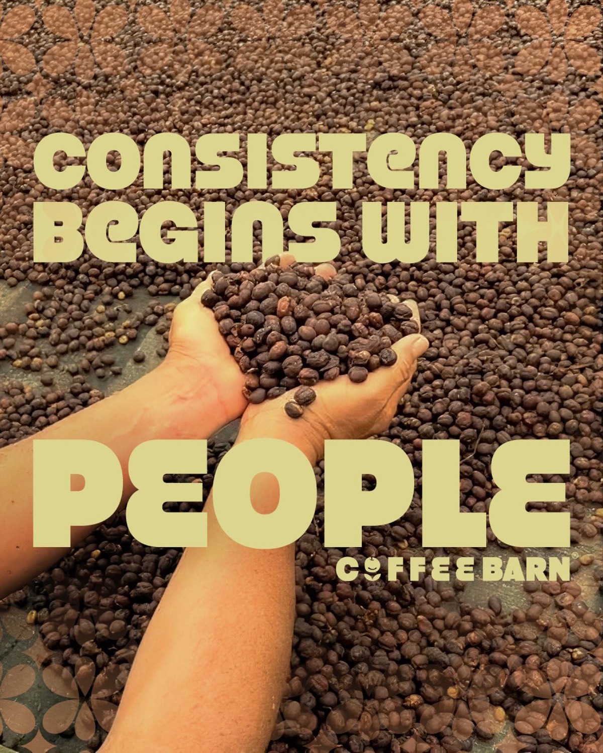 Sesión de café — Specialty Coffee Barn